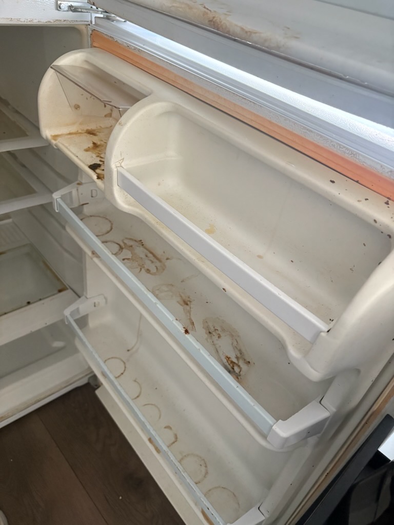 Before — refrigerator refresh
