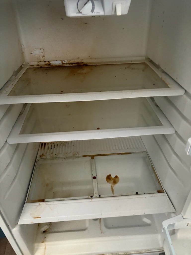 Before — refrigerator deep clean