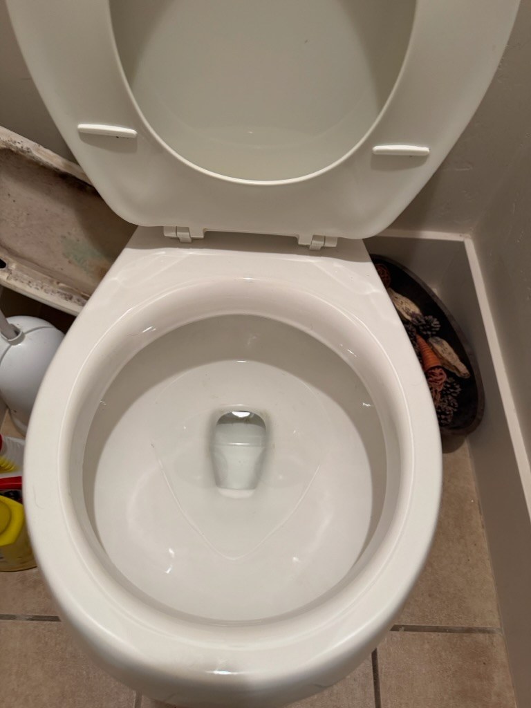 Toilet seat and bowl spotless after Salt and Slate clean